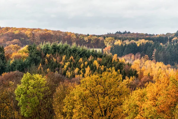 Gyönyörű narancs és vörös őszi erdő, sok fa a narancssárga dombokon Németország rhineland palantino — Stock Fotó