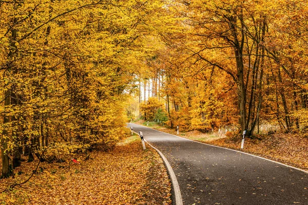 Een kronkelende weg met losse herfstbladeren in het Duitse Rijnland Palantino — Stockfoto