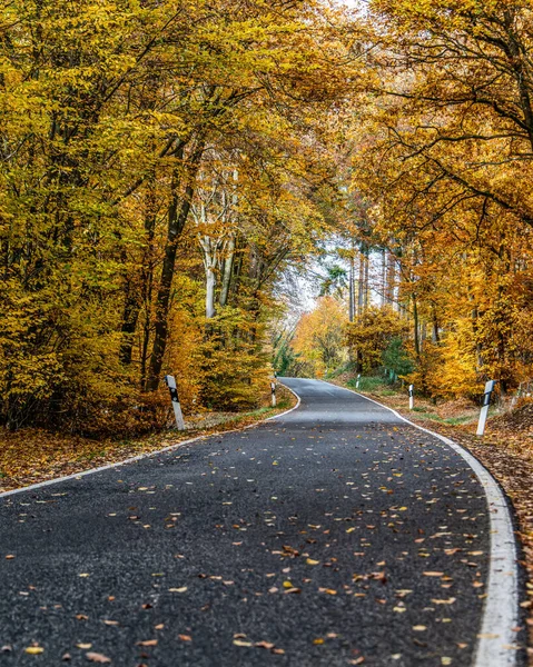 Gevşek sonbahar yaprakları ile dolambaçlı bir yol Almanya 'nın gergedan tahtırevanında sonbahar ağaçları arasında