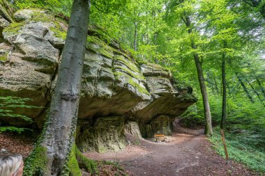 Berdorf Mullerthal Lüksemburg 'da Kum Taşı kaya oluşumları ile güzel yeşil orman yürüyüş yolu.