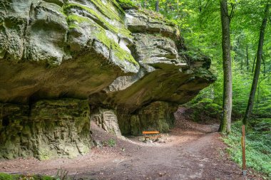 Berdorf Mullerthal Lüksemburg 'da Kum Taşı kaya oluşumları ile güzel yeşil orman yürüyüş yolu.