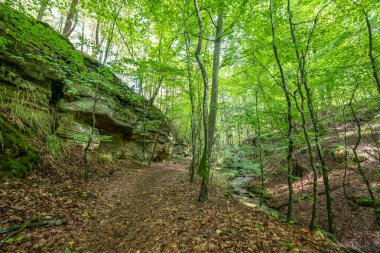 Berdorf Mullerthal Lüksemburg 'da Kum Taşı kaya oluşumları ile güzel yeşil orman yürüyüş yolu.