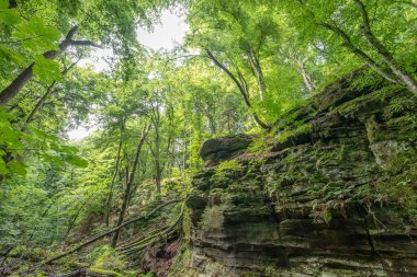 Berdorf Mullerthal Lüksemburg 'da Kum Taşı kaya oluşumları ile güzel yeşil orman yürüyüş yolu.