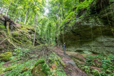 Berdorf Mullerthal Lüksemburg 'da Kum Taşı kaya oluşumları ile güzel yeşil orman yürüyüş yolu.