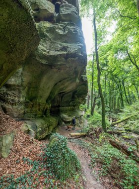 Berdorf Mullerthal Lüksemburg 'da Kum Taşı kaya oluşumları ile güzel yeşil orman yürüyüş yolu.
