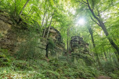 Berdorf Mullerthal Lüksemburg 'da Kum Taşı kaya oluşumları ile güzel yeşil orman yürüyüş yolu.