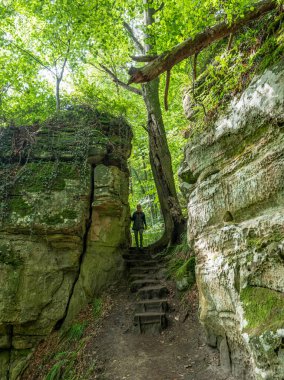 Berdorf Mullerthal Lüksemburg 'da Kum Taşı kaya oluşumları ile güzel yeşil orman yürüyüş yolu.