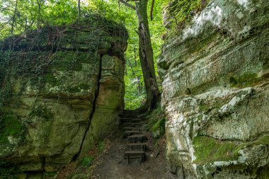 Berdorf Mullerthal Lüksemburg 'da Kum Taşı kaya oluşumları ile güzel yeşil orman yürüyüş yolu.