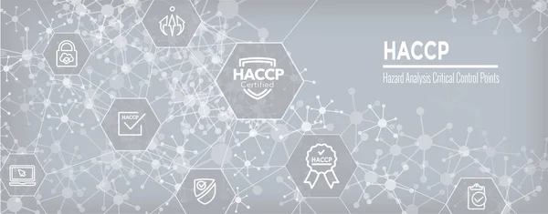 Haccp Аналіз Небезпечних Критичних Контрольних Точок Набір Піктограм Банер Веб — стоковий вектор