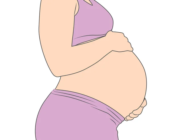 Mulher grávida segurando estômago - imagem lateral da gravidez —  Vetores de Stock