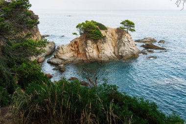 Lloret de Mar 'daki güzel kayalık kıyılarda turkuaz sular, engebeli uçurumlar ve yemyeşil Akdeniz çam ağaçları var..