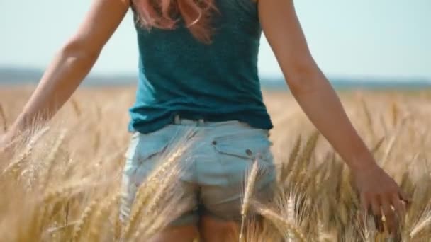 Красотка бегает по пшеничному полю — стоковое видео