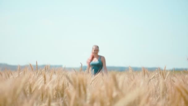 Schoonheid meisje loopt in tarwe veld — Stockvideo