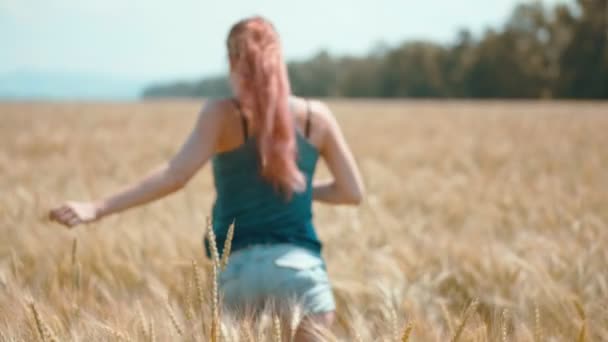 Belleza chica corriendo en trigo campo — Vídeos de Stock