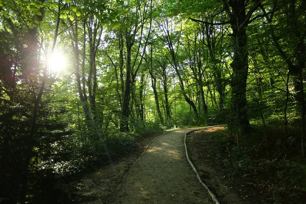 Hırvatların su manzaraları çok güzel.