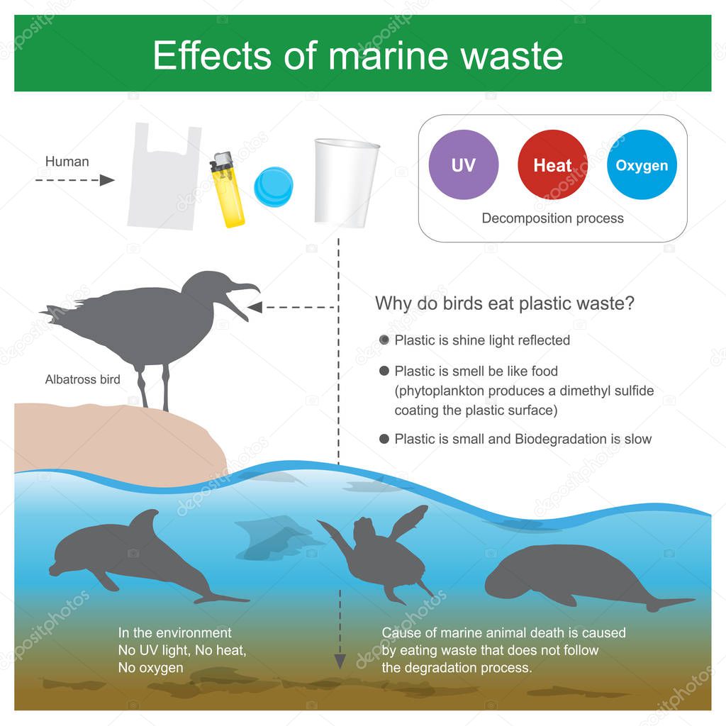 Cause of marine animal death is caused by eating waste that dose not follow the degradation process and cause of Albatross bird death, because the birds eat plastic waste.