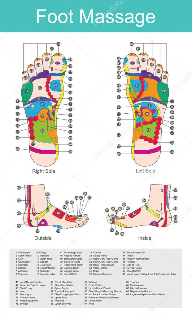 While various types of reflexology related massage styles focus on the feet, massage of the soles of the feet is often performed purely for relaxation or recreation. It is believed there are some specific points on our feet that correspond to differe