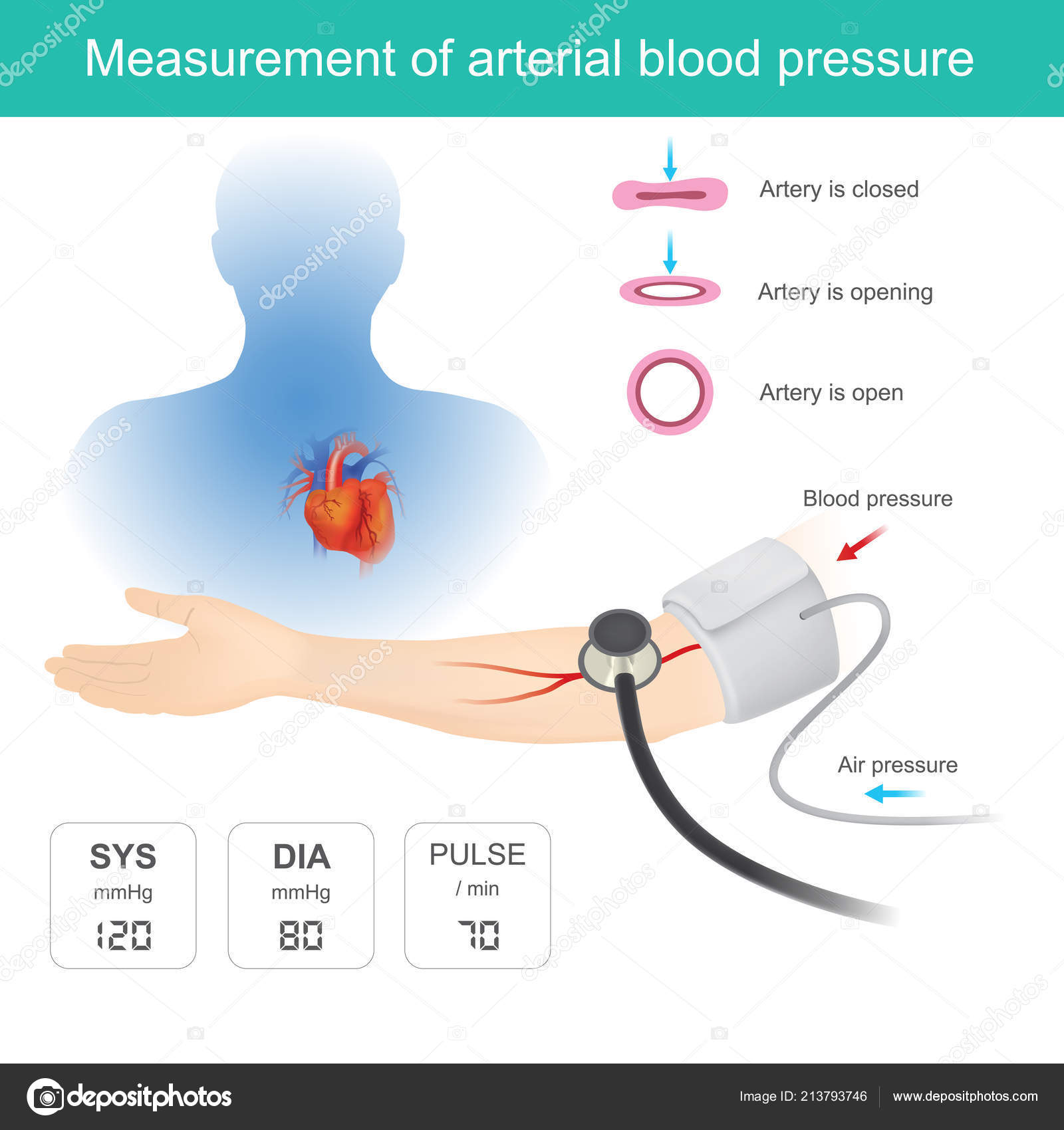 Use Medical Instruments Measure Blood Pressure Heart Pulse Stock