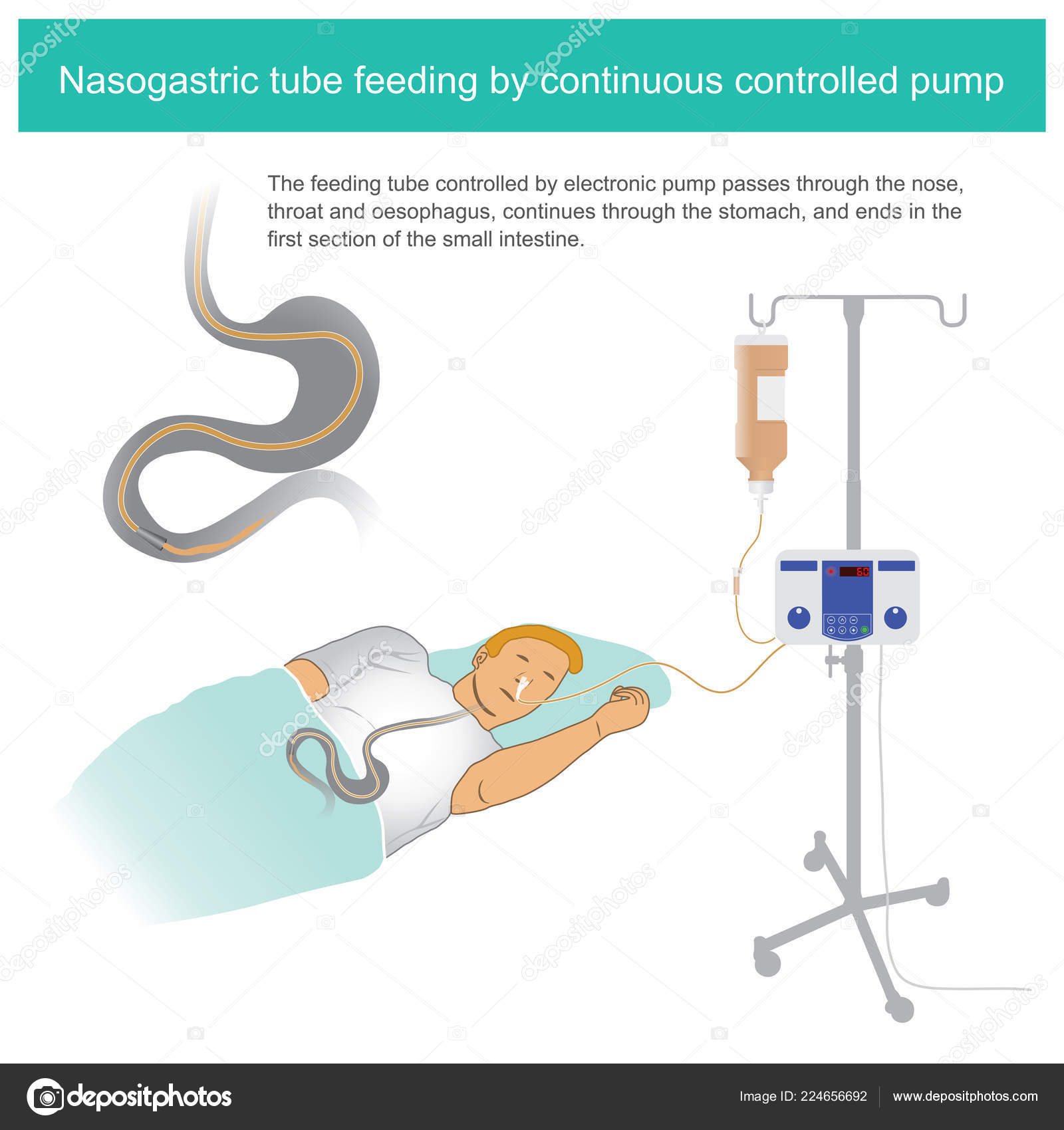 Description feeding. Чарте бейби. Description feeding. Description feeding. Мать кормит первый прикорм.