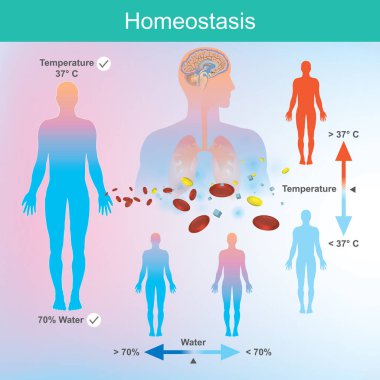 The human needs water and body temperature In the right amount. The nervous system and the brain respond to changes when such abnormalities are detected. clipart