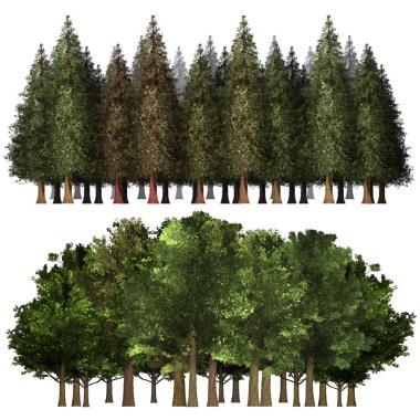 Yeşil Forrest ağacı arka plan. 