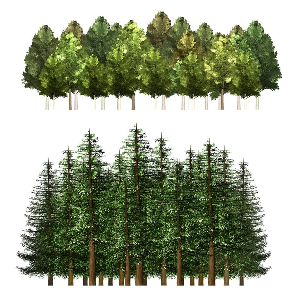 Zielone tło drzewa Forrest. — Zdjęcie stockowe