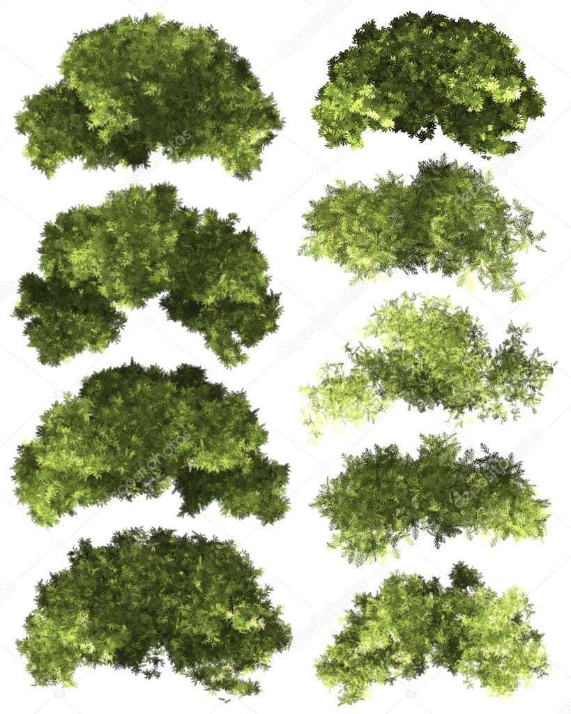 Green Forrest tree background. 3D Illustration. White background