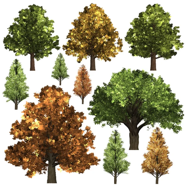 Zielone tło drzewa Forrest. Ilustracja 3D. Białe tło — Zdjęcie stockowe