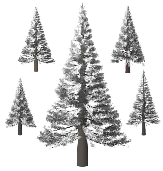 Christmas tree, Pine. Winter forrest tree background. — Stock Photo, Image