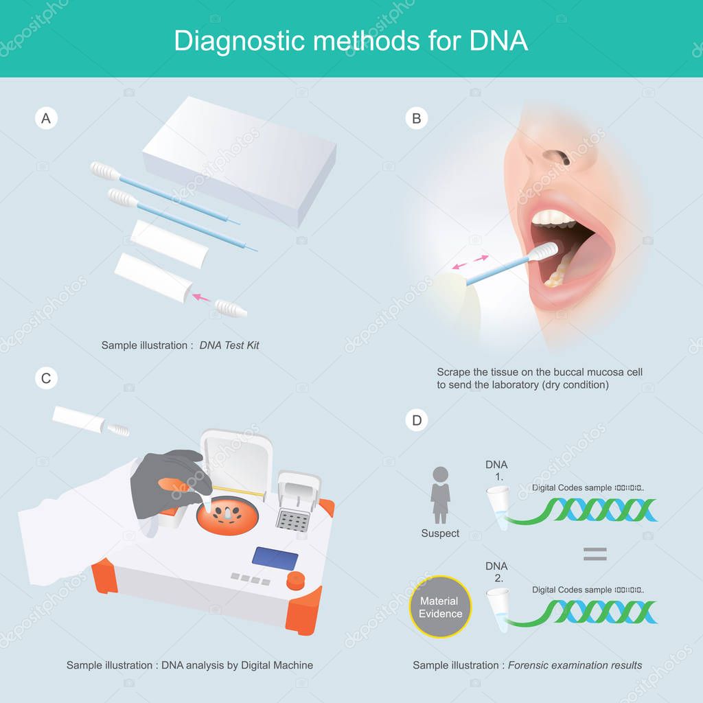 Diagnostic methods for DNA. 3D Illustration infographic.