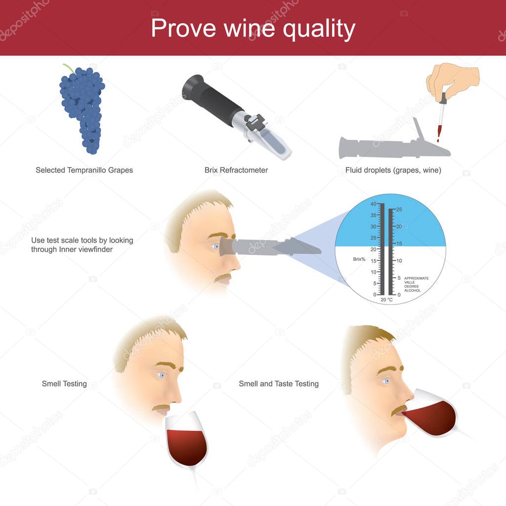 Prove wine quality.  Illustration infographic. 