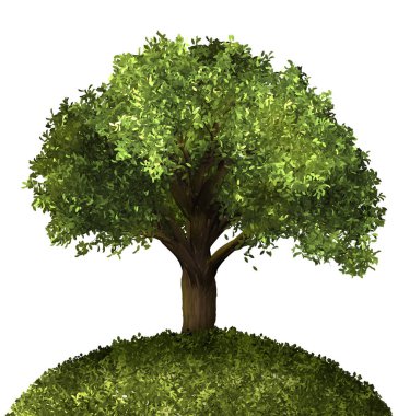 Yeşil Forrest ağaç arka plan. 3d İllüstrasyon. Beyaz arka plan izole. Doğa ve Bahçeler tasarımı.   