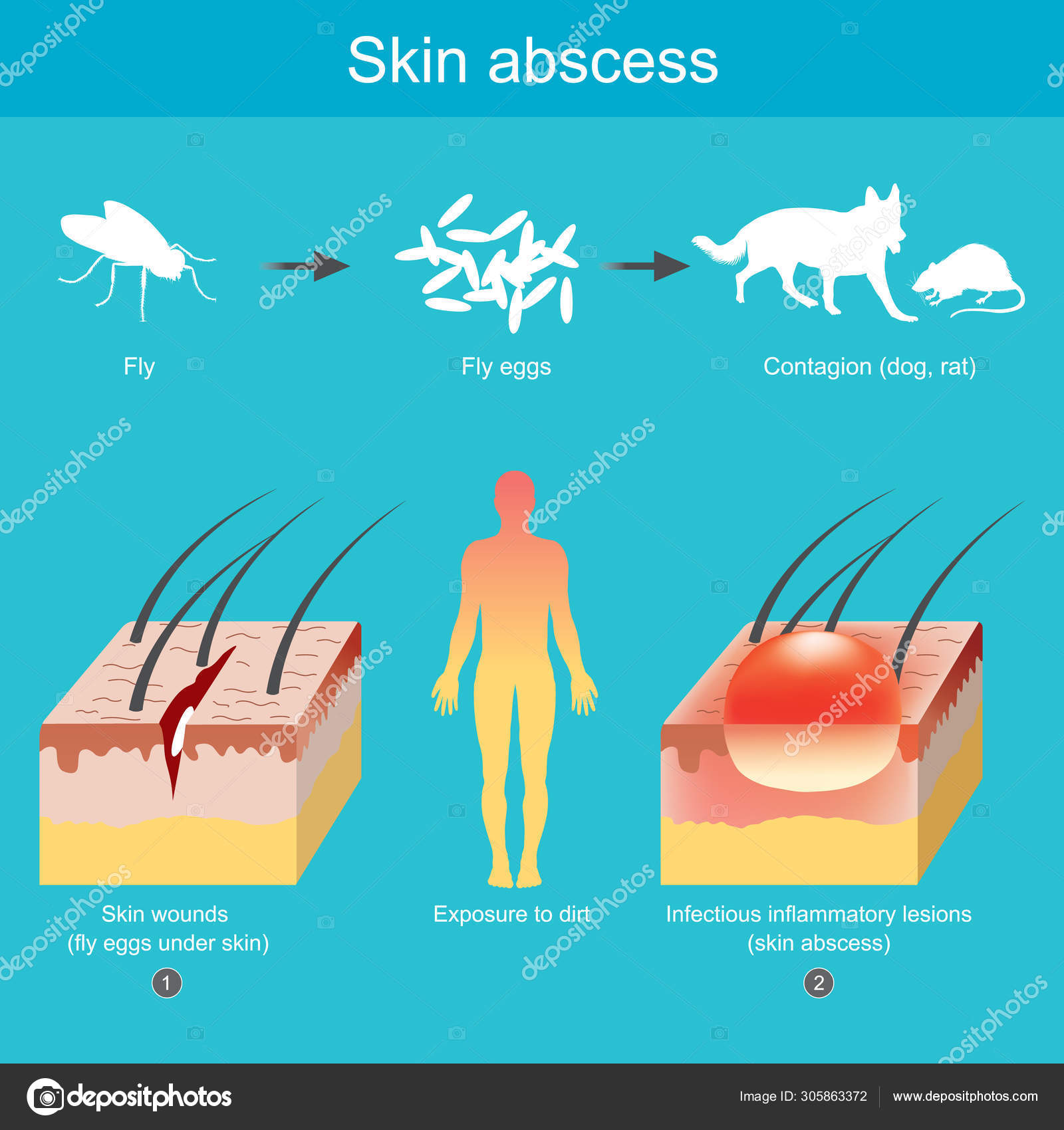 Furuncle Treatment Dog Reliable Reputation clc.cet.edu