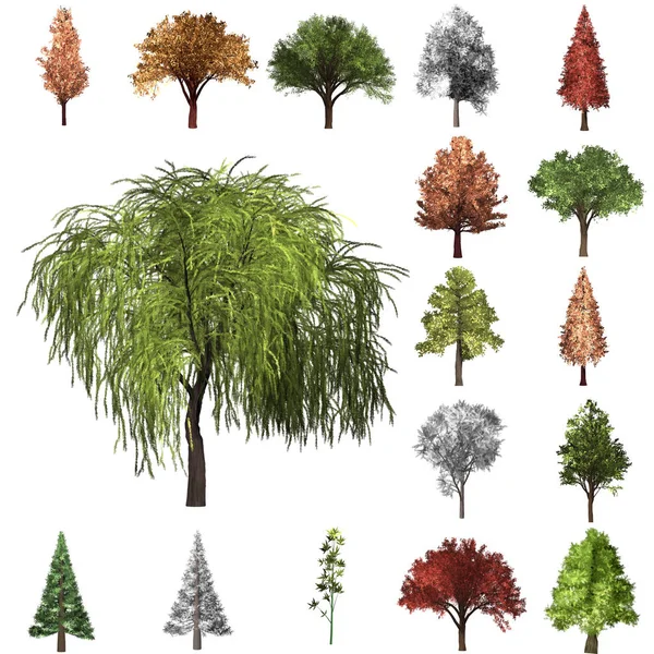Набір для виправлення дерева. 3D-ілюстрація. Білий фон це — стокове фото