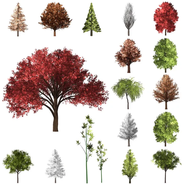 Zestaw do korekcji drzew. Ilustracja 3D. Białe tło jest — Zdjęcie stockowe