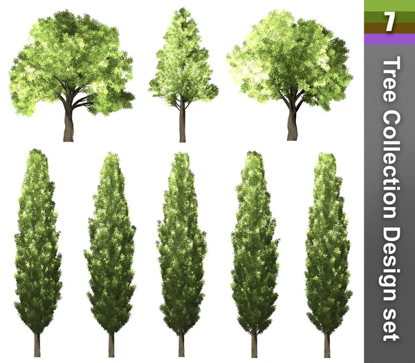 Σύνολο σχεδίασης διόρθωσης δέντρου. Εικονογράφηση 3D. Το λευκό φόντο είναι — Φωτογραφία Αρχείου