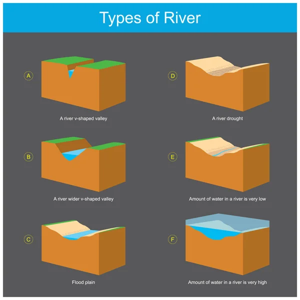 Types River Diagram Explain Geography Condition Separate Which River Types — Stock Vector