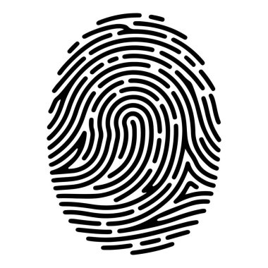 Karmaşık girdap çizgileri olan bir insan parmak izinin yakından, yüksek kontrastlı siyah beyaz görüntüsü..