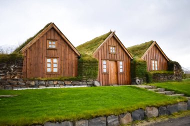 Çatıda çimenli çim evler