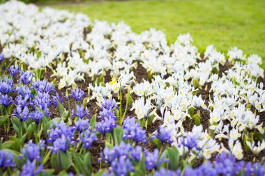 cnhcghn k kg kugyu gk kuyg kukug kk