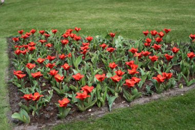 cnhcghn k kg kugyu gk kuyg kukug kk