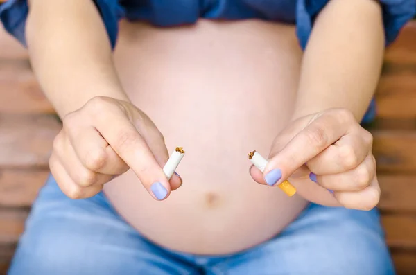 Stop Smoking Cigarettes. Pregnant Woman Holding Broken Cigarette in hands No Smoking Negative Nicotine Influence on Kids Problems of Conceiving Maternity