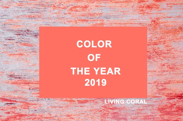 Koncept Bydlení Coral Color Trend Roku 2019 — Stock fotografie