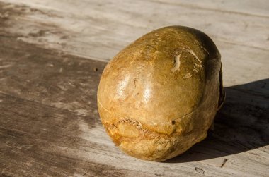 kafatası insan yaşlı kadın vücut ölüm halloween parçası