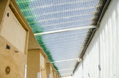 Üreme kafesinde papağanlar safkan kuş türleri papağan kuşları yer 