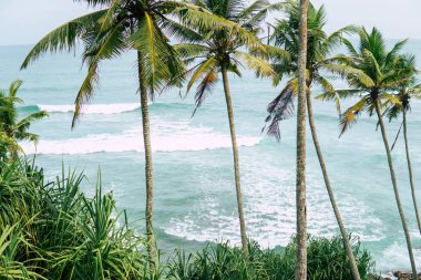 tropik bir beach Resort güzel gün batımı.