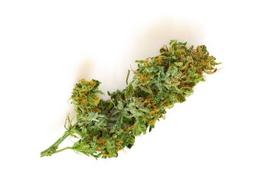 Esrar çiçek Esrar trihoma, esrar yaprak, tıp kavramı ile yapışkan tomurcukları Thc ve Cbd kullanın