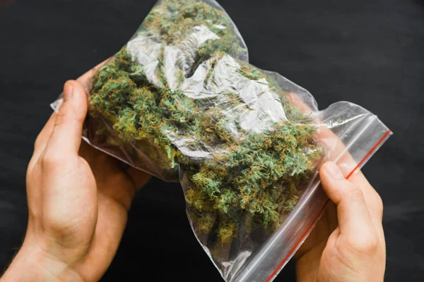 Gran paquete Una gran cantidad de marihuana Paquete con hierba y cogollos frescos de cannabis mucha hierba. Copia spase Copia-espacio conjunta brotes verdes frescos —  Fotos de Stock