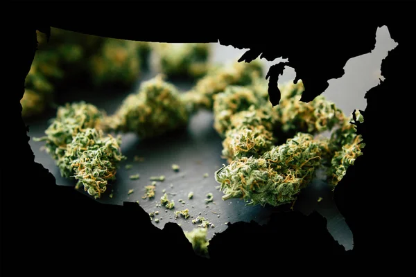 Cannabis Bud i enad stat i Amerika, juridiska Marijuana i Amerika. Makro marijuana bud med trichomes och krossade ogräs för att hugga en canabis på ett svart bord — Stockfoto