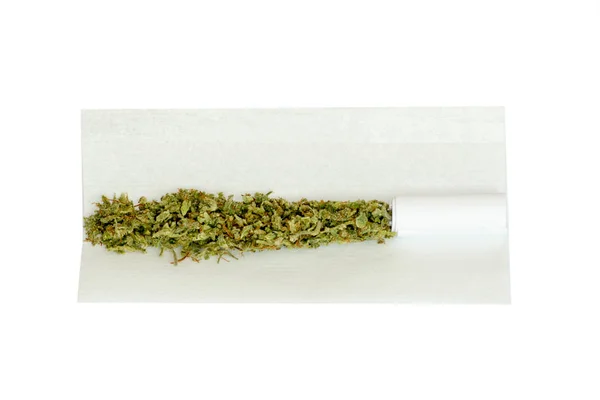 Joint Weed rolled isoliert Foto Nahaufnahme grüne Cannabis medizinische Verwendung thc und cbd — Stockfoto